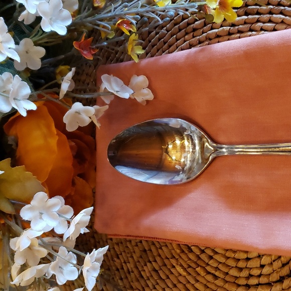 ESTIA GOURMET Cascade Floral SS Serving Spoon - RARE - Picture 3 of 5